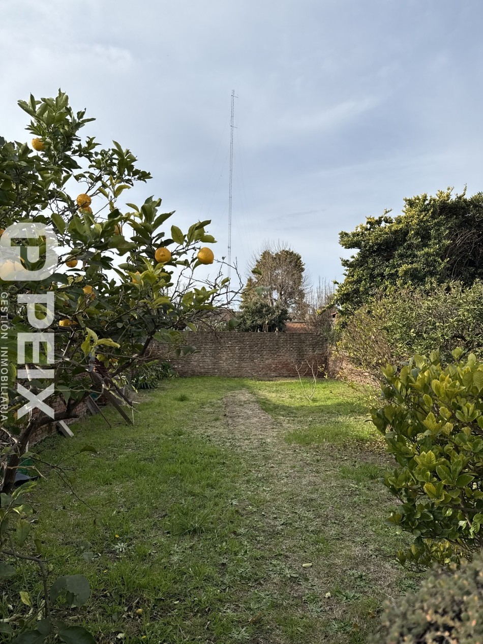 CASA SOBRE GRAN LOTE CENTRICO 