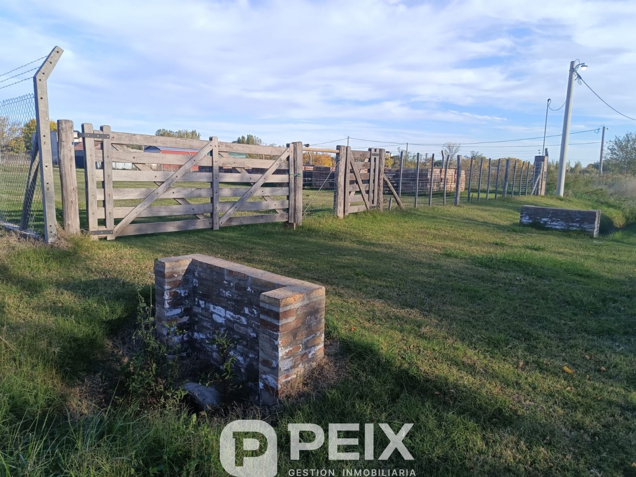 LOTE EN GOROSTIAGA